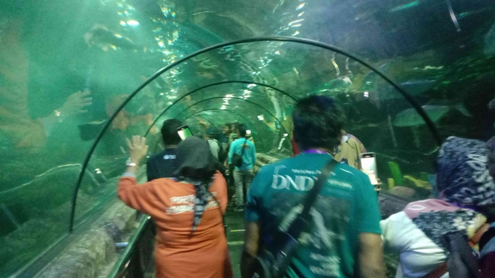 Sumber gambar dokpri