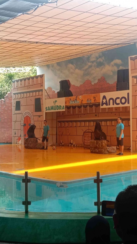 Sumber gambar dokpri