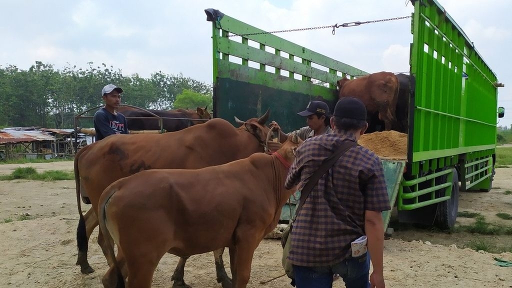 Foto: Dokumentasi Kompas.id