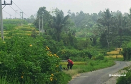 Jalan menuju Dusun Tuo Pariangan, sumber gambar: Dokumentasi Merza Gamal