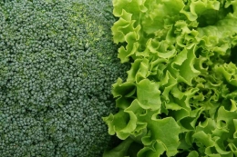 ilustrasi sayuran hijau (sumber: https://pixabay.com/id/images/search/sayuran hijau/)
