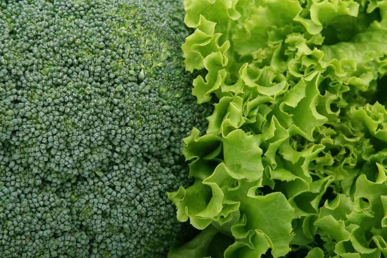 ilustrasi sayuran hijau (sumber: https://pixabay.com/id/images/search/sayuran%20hijau/)