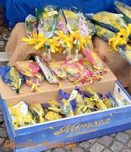 Paket Mimosa, foto dokumen pribadi Claudia Magany