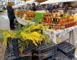 Penjual madu dan mimosa, foto dokumen pribadi Claudia Magany