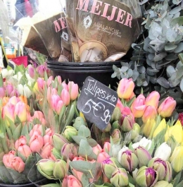 Bunga Tulip mulai bersemi di Belanda dan juga dijual. Sumber gambar dokumen pribadi