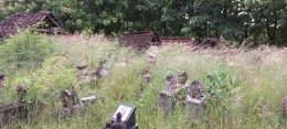 Tampak Makam Sebelum dibersihkan (Foto Pribadi)