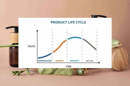 Grafik product life cycle (Sumber gambar: www.bee.id).
