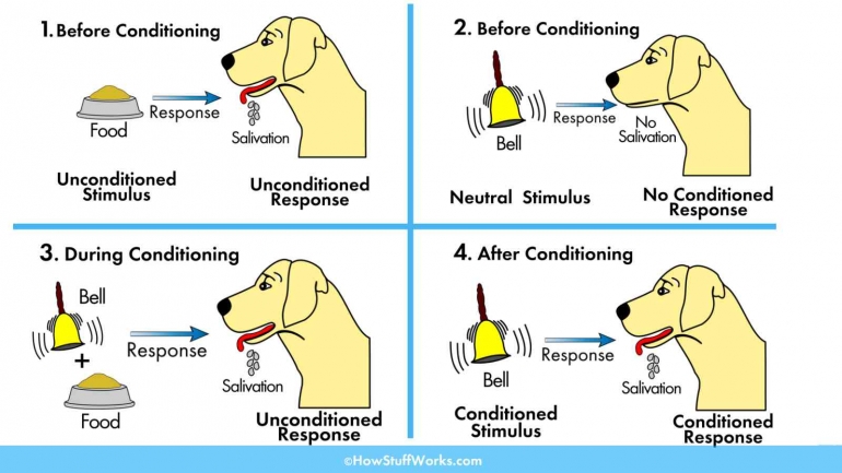 https://animalia-life.club/qa/pictures/what-did-ivan-pavlov-conclude-from-his-experiments-with-the-dog