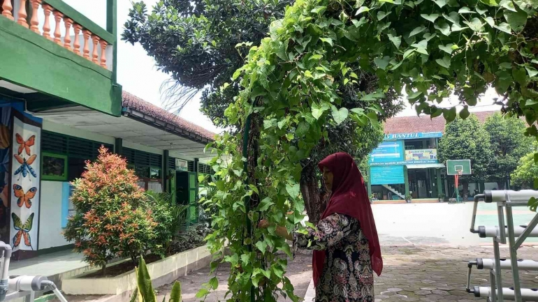 Waka Sarpras MTsN 6 Bantul, Anni dan Farida giat memelihara tanaman di lingkungan madrasah. (dok.luk)