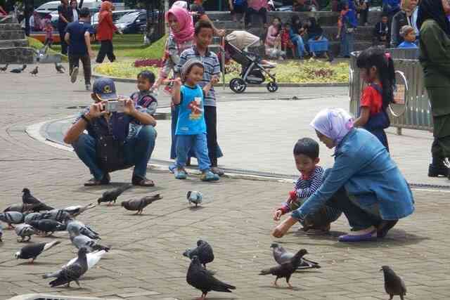 Memberi makan burung merpati, sumber gambar: TelusuRi