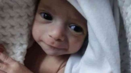 https://news.detik.com/bbc-world/d-7058189/kisah-haru-bayi-bayi-prematur-di-gaza-bertemu-kembali-dengan-ortunya/amp