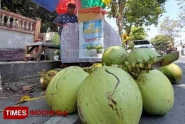 Ilustrasi pedagang es kelapa muda di pinggir jalan (Sumber: Jabar.times.co.id)