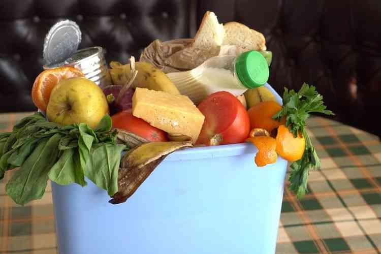 Sampah Makanan (Sumber: Sutterstock)