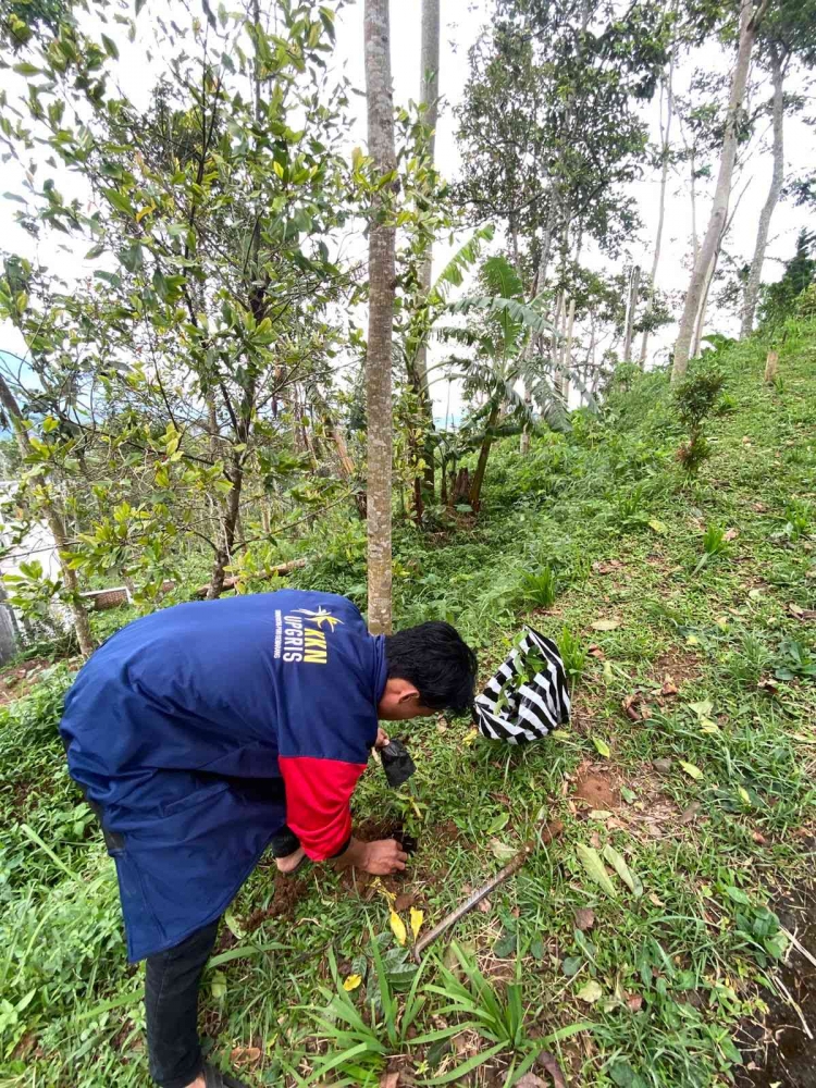 Mahasiswa KKN 66 Melakukan Penanaman Pohon/dok. pri