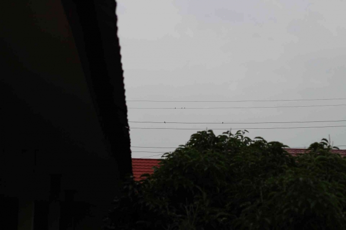 Input sumber gambar dokpri