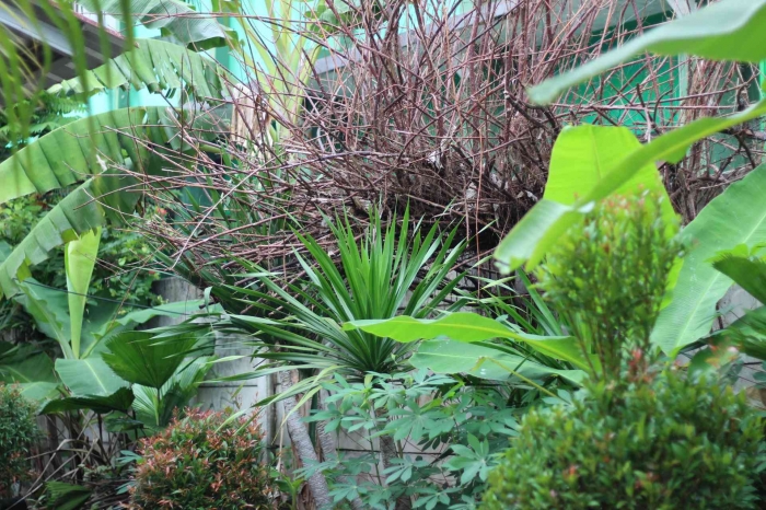 Input sumber gambar dokpri