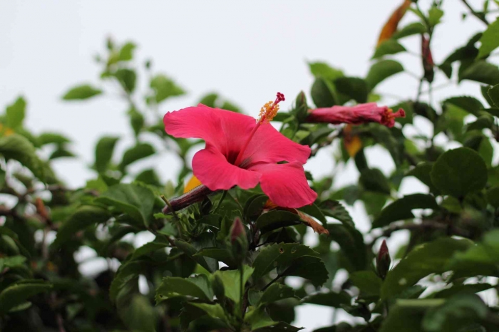 Input sumber gambar dokpri