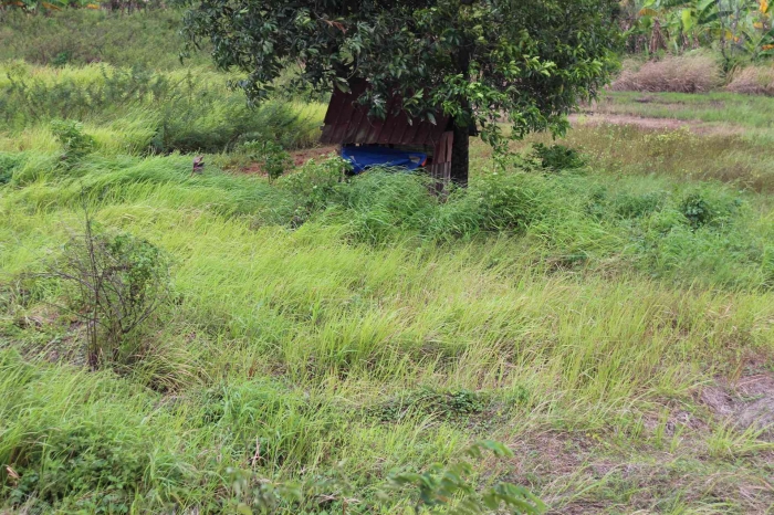 Sumber gambar dokpri