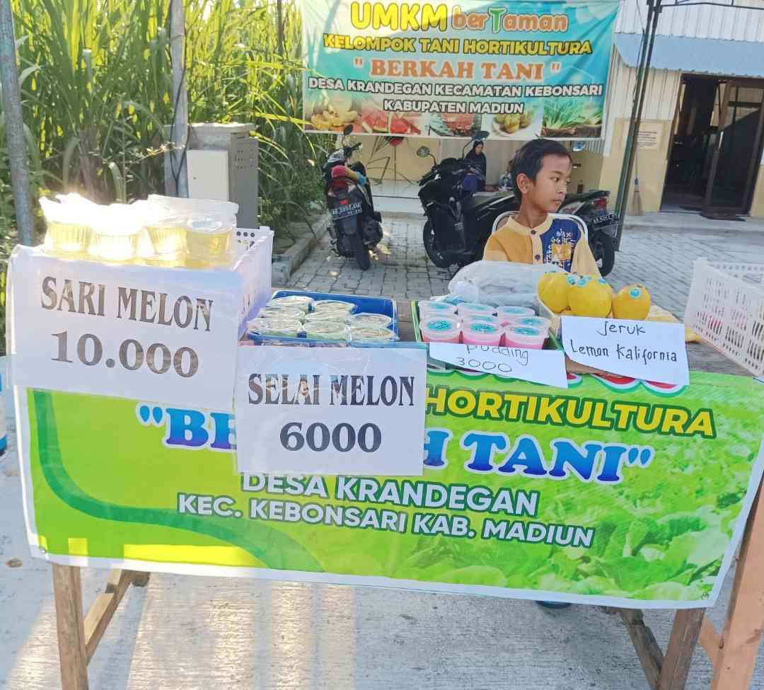 Selain melon, sari melon, dan produk dari anggota kelompok tani Berkah tani desa Krandegan, Kebonsari Madiun (dokpri)