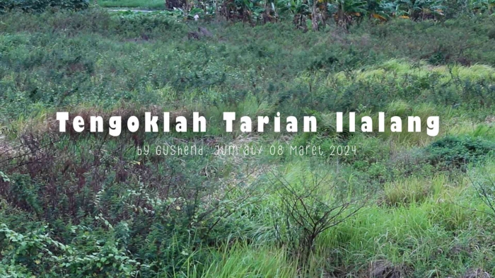 Input sumber gambar dokpri