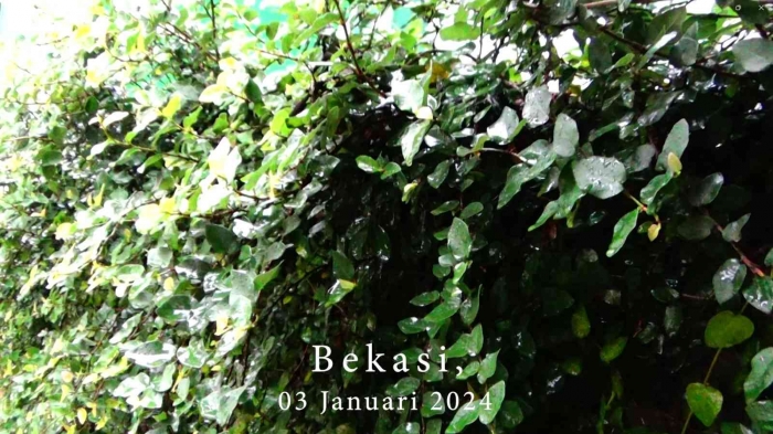 Input sumber gambar dokpri