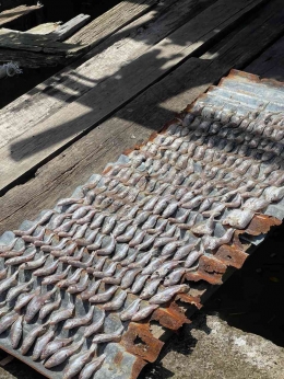 Penjemuran ikan asin sebelum dijual. (Dokumentasi pribadi)