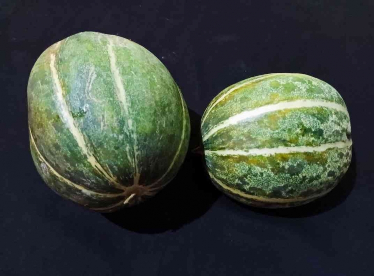 Blewah, bentuknya mirip labu/pumpkin yang biasa disebut buah Halloween (dokpri)