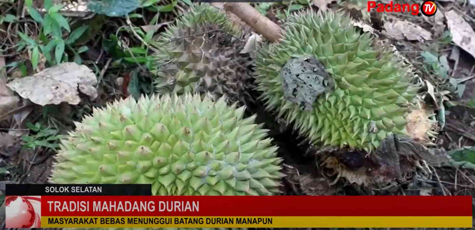 Youtube.com/Official Padang TV News