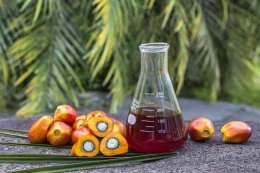 https://ssms.co.id/en/our-business/detail/crude-palm-oil