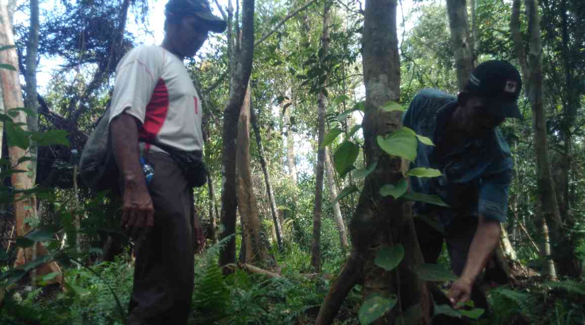 Menjinakkan Alam: Antara Harapan dan Realita | kilasjambi.com