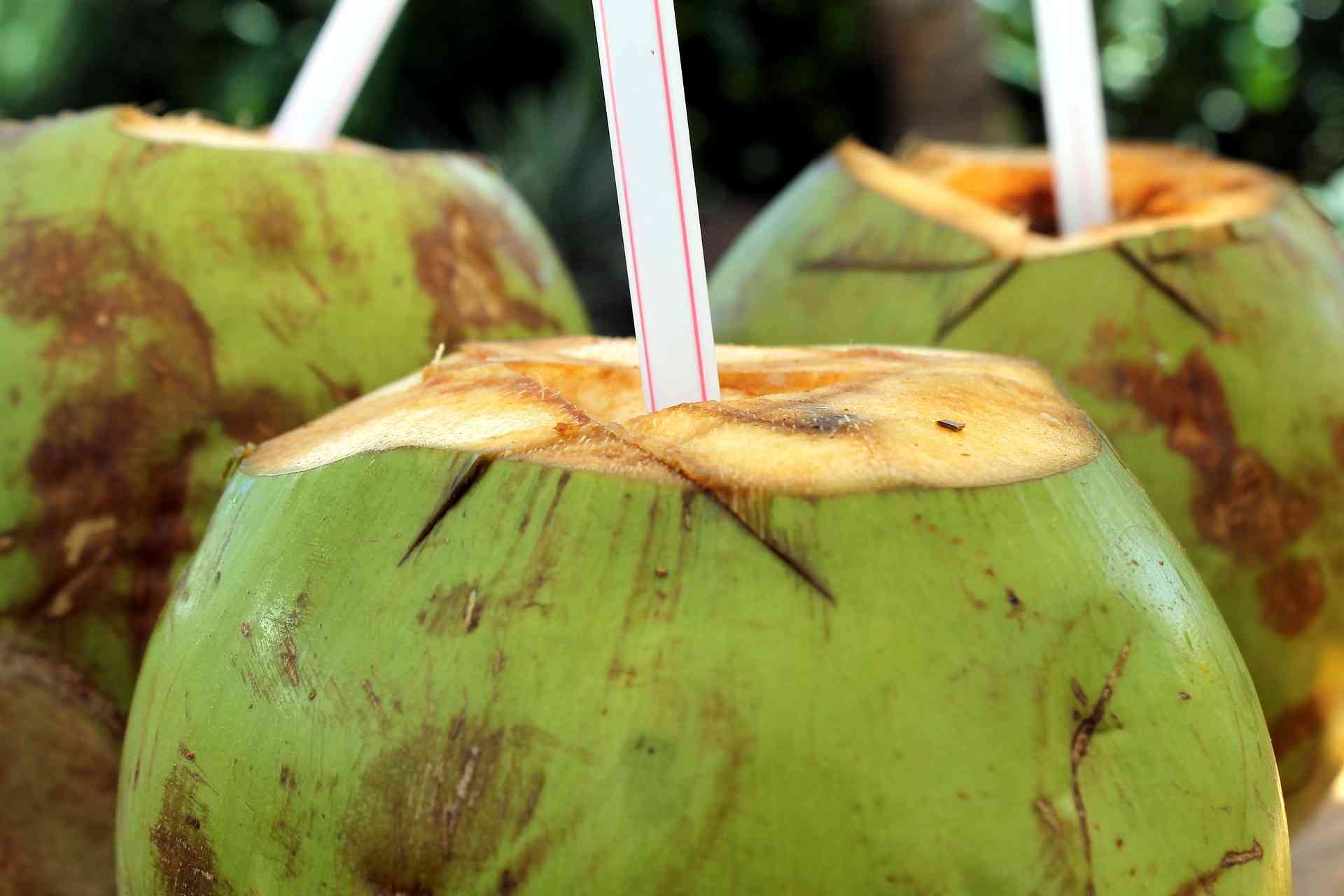 Es kelapa muda, salah satu menu favorit berbuka anak kos di tanggal tua. Sumber: Pixabay/Gadini.