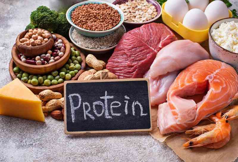 Protein (Sumber Gambar: Siloam Hospitals)