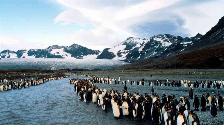 Sumber: Gentoo_Penguins_Antarctica-HD_Desktop_Wallpaper (www.10wallpaper.com)