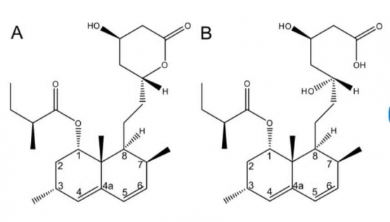 Struktur kimia Lovasatin (Monacolin K) (Foto: ResearchGate)