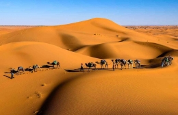 Rumah di Atas Pasir: Adaptasi Kehidupan di Gurun Sahara | kompas.com