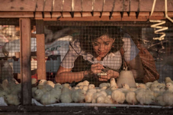 Aruna (Dian Sastrowardoyo) yang sedang menyelidiki kasus wabah flu burung di Indonesia dalam film Aruna & Lidahnya. Sumber foto: IMDB