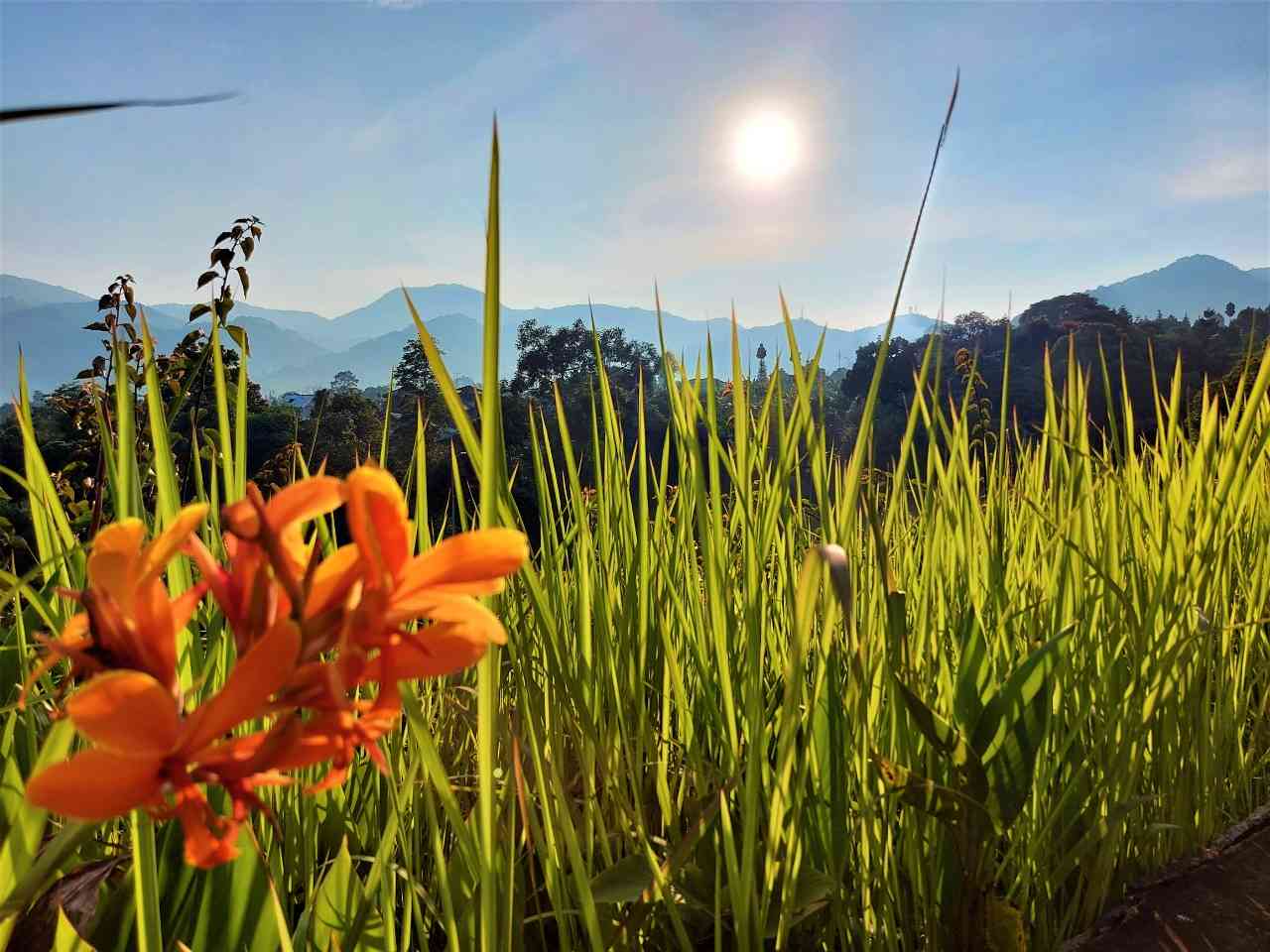 Suasana pagi saat mentari naik sepenggalahan. Sumber gambar dokumen pribadi.