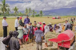 Jokowi saat panen raya bersama petani di Kabupaten Sigi guna swasembada pangan. Dok Sekertariat Presiden