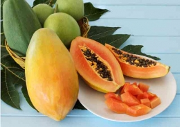 Lezatnya buah pepaya kala dikonsumsi dalam keadaan segar, banyak manfaatnya untuk kesehatan tubuh (dok foto: ladangbuah.com)