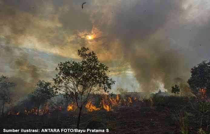 https://pusiknas.polri.go.id/detail_artikel/sepuluh_hari,_puluhan_hutan_dan_lahan_di_indonesia_terbakar