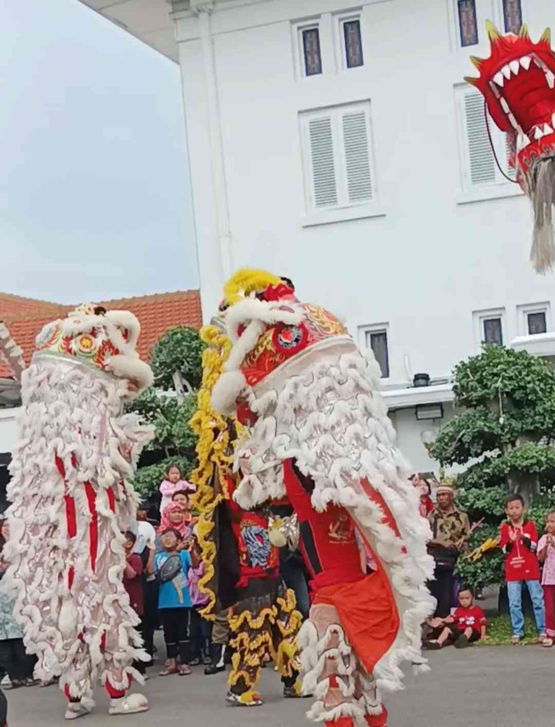 Tari Liong dan Barongsai, salah satu terobosan kebudayaan yang telah dilakukan oleh Gus Dur (dokpri)