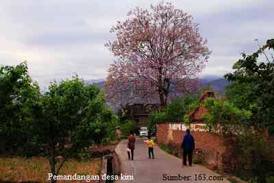 Sumber: 163.com