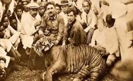  Seekor harimau mati ditembak di sebuah perkampungan di antara Bandung dan Garut, 1920. (Twitter @PotretLawas) Input sumber gambar/Solopost.