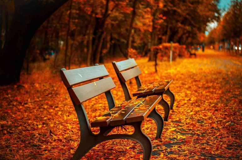 271 triliun daun-daun luruh di sekitar dan dua bangku, Gambar oleh Pepper Mint dari Pixabay