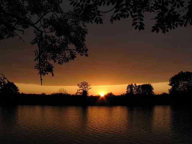 Ilustrasi Sumber Foto Pixabay