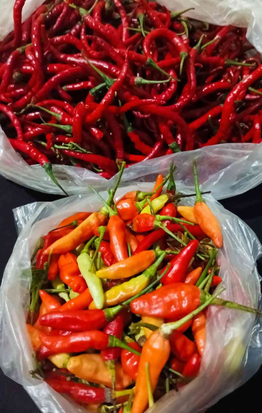 Harga cabe rawit dan cabe tampar murah meriah (dokpri)