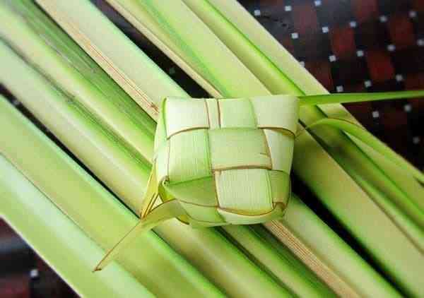 Daun Kelapa & Cangkang Ketupat. credit to Blibli.com