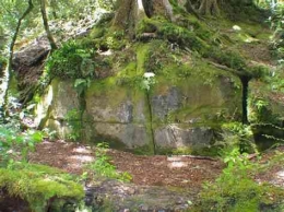 Sumber: The Mysterious Kaimanawa Wall: Man-made megalithic structure or work of nature? | by John Mills | Medium (/john-mills.medium.com)