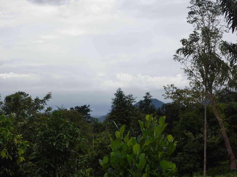 Pemandangan di Bukit Lawang 1, oleh Astari28, Wikimedia Commons, CC BY-SA 4.0.