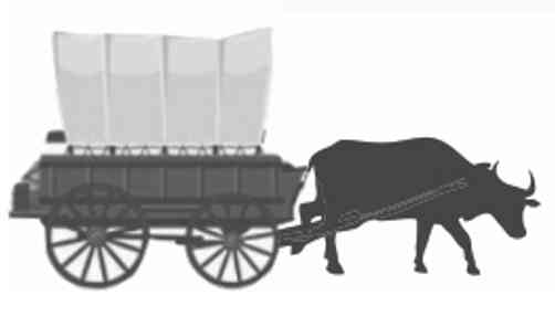 Bullock Cart, Ilustrasi: penulis